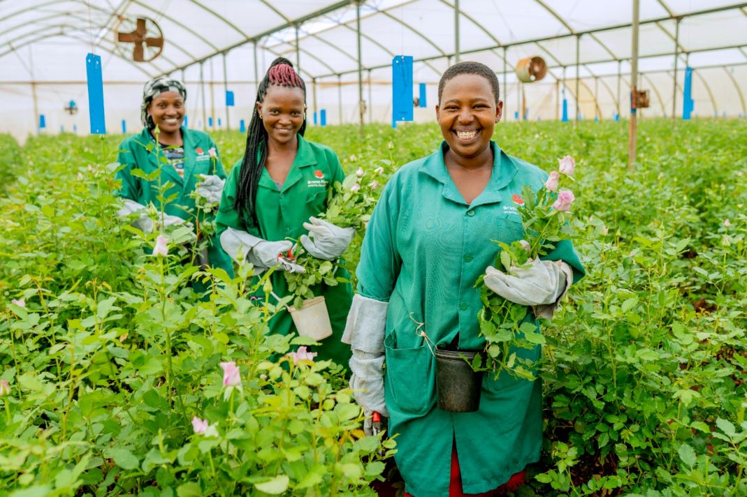 Women Leading the Green Revolution with HER-EDGE